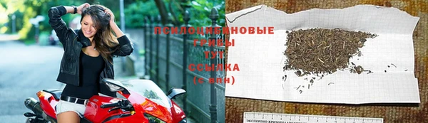 герыч Бородино
