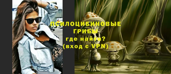 герыч Бородино